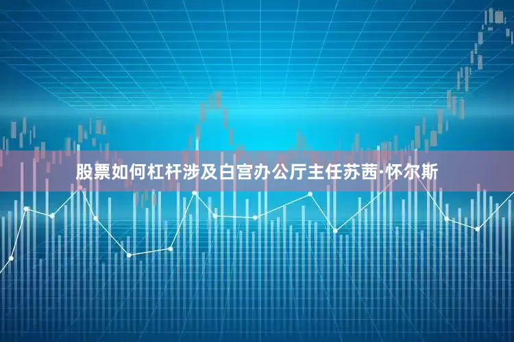 股票如何杠杆涉及白宫办公厅主任苏茜·怀尔斯