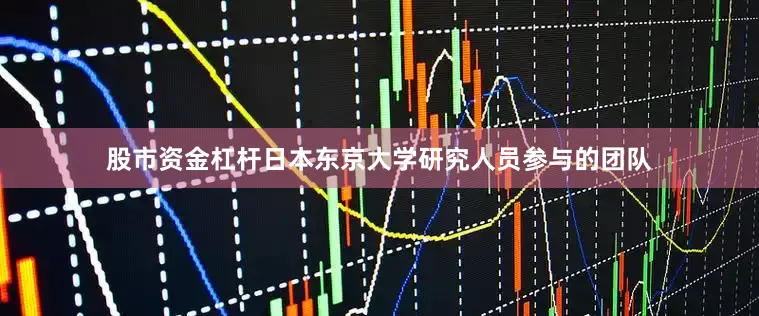 股市资金杠杆日本东京大学研究人员参与的团队