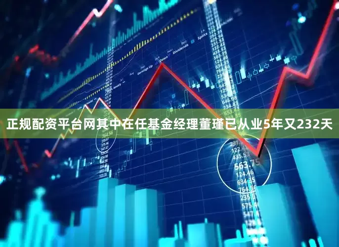 正规配资平台网其中在任基金经理董瑾已从业5年又232天